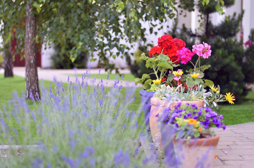 Jaszbereny Boutique Room Zewnętrze zdjęcie
